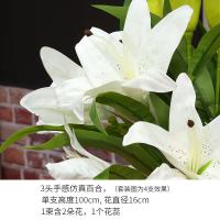 uploads/erp/collection/images/Home Garden/CongDing/XU0612523/img_b/XU0612523_img_b_2